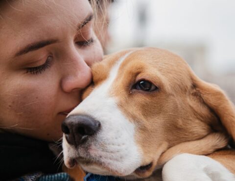 Pet custody in a Texas divorce.
