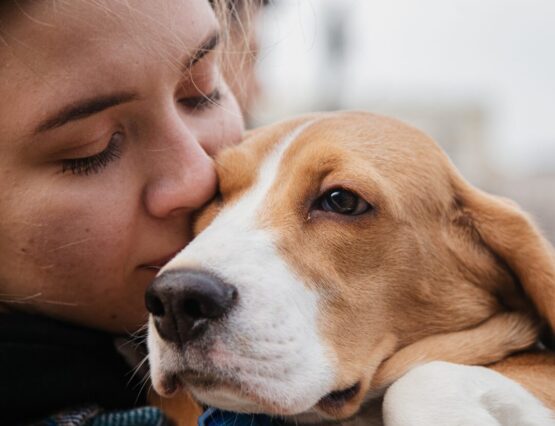 Pet custody in a Texas divorce.