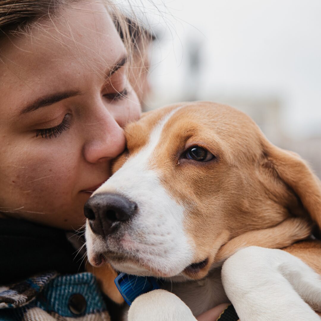 Pet custody in a Texas divorce.